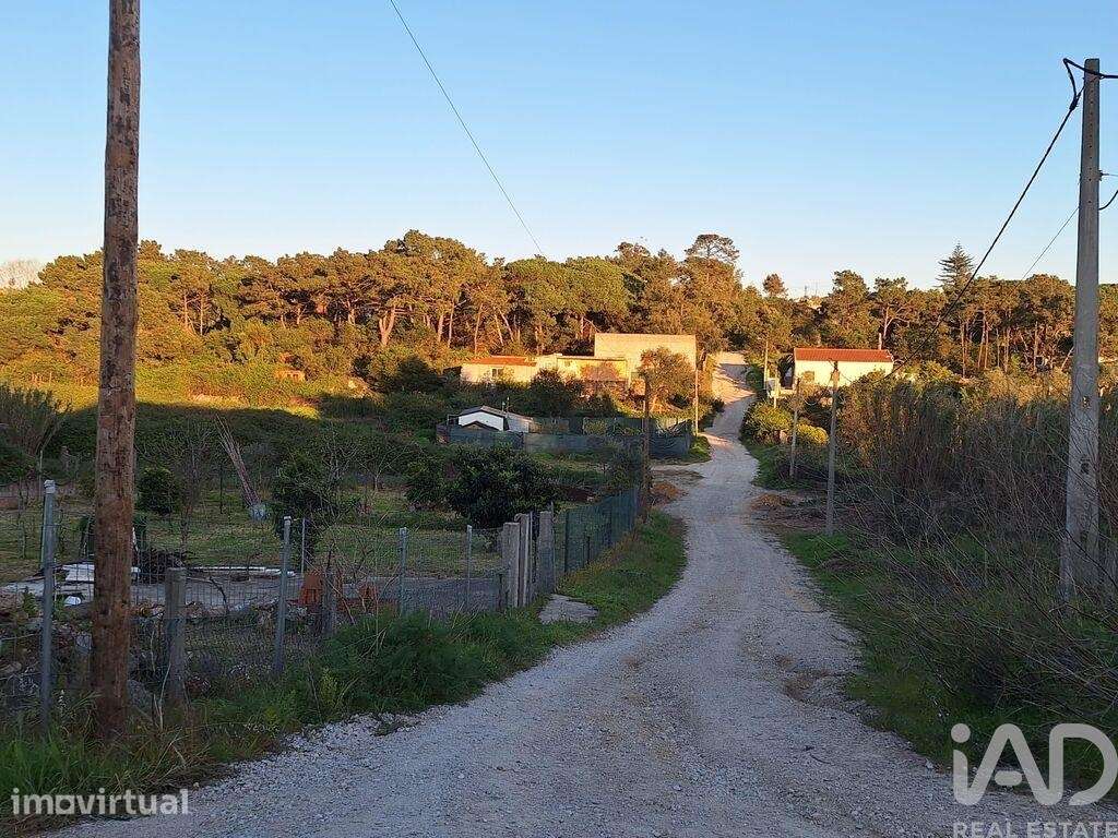Terreno Agrícola em Caparica e Trafaria - Grande imagem: 5/12