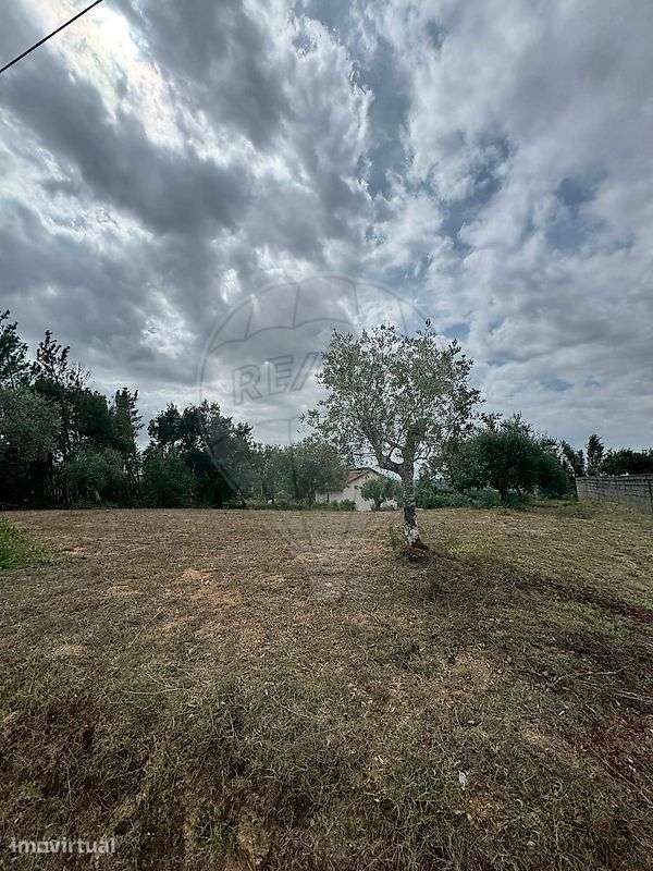 Terreno  para venda - Grande imagem: 5/9