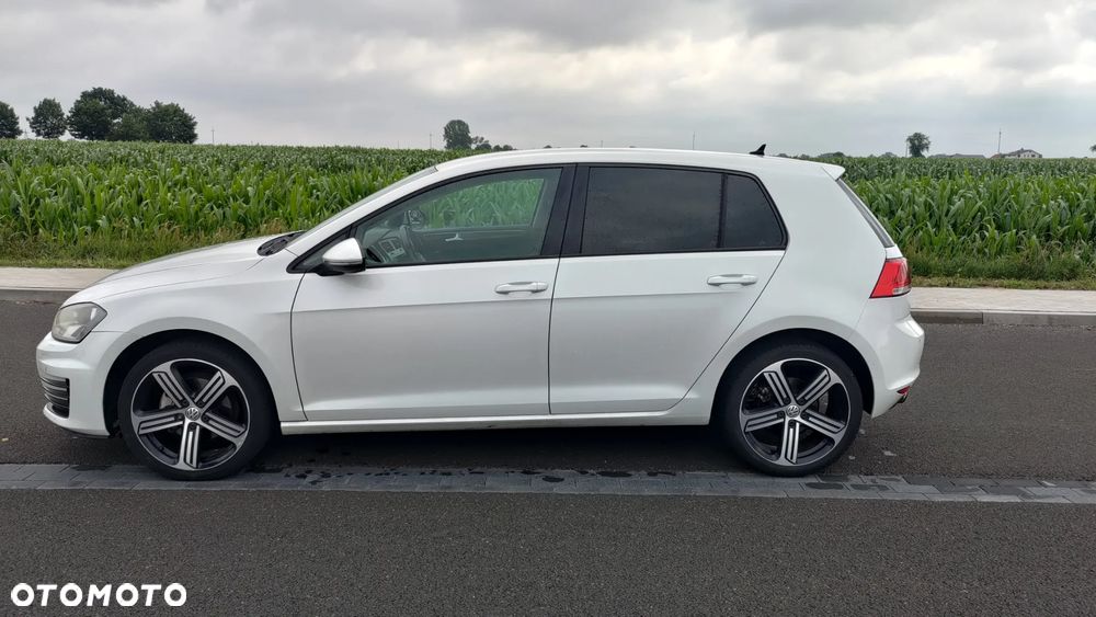 Volkswagen Golf 1.6 TDI BlueMotion Technology Cup - 17