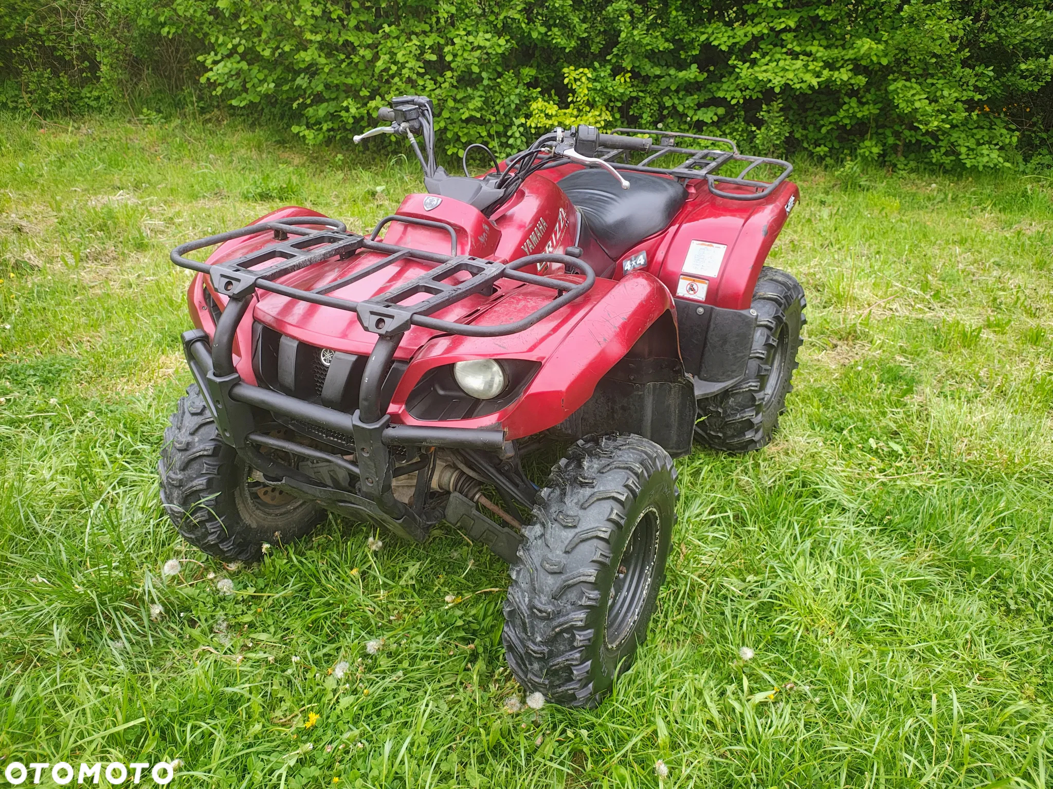 Yamaha Grizzly
