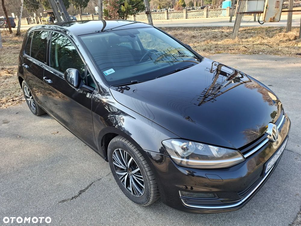Volkswagen Golf 1.6 TDI BlueMotion Technology DSG Allstar - 8
