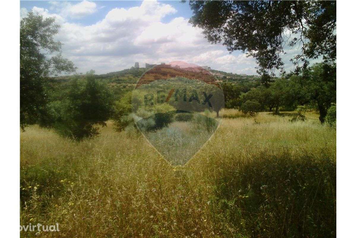 TERRENO COM 36.250 M2 - TERENA - ALANDROAL - Grande imagem: 3/6