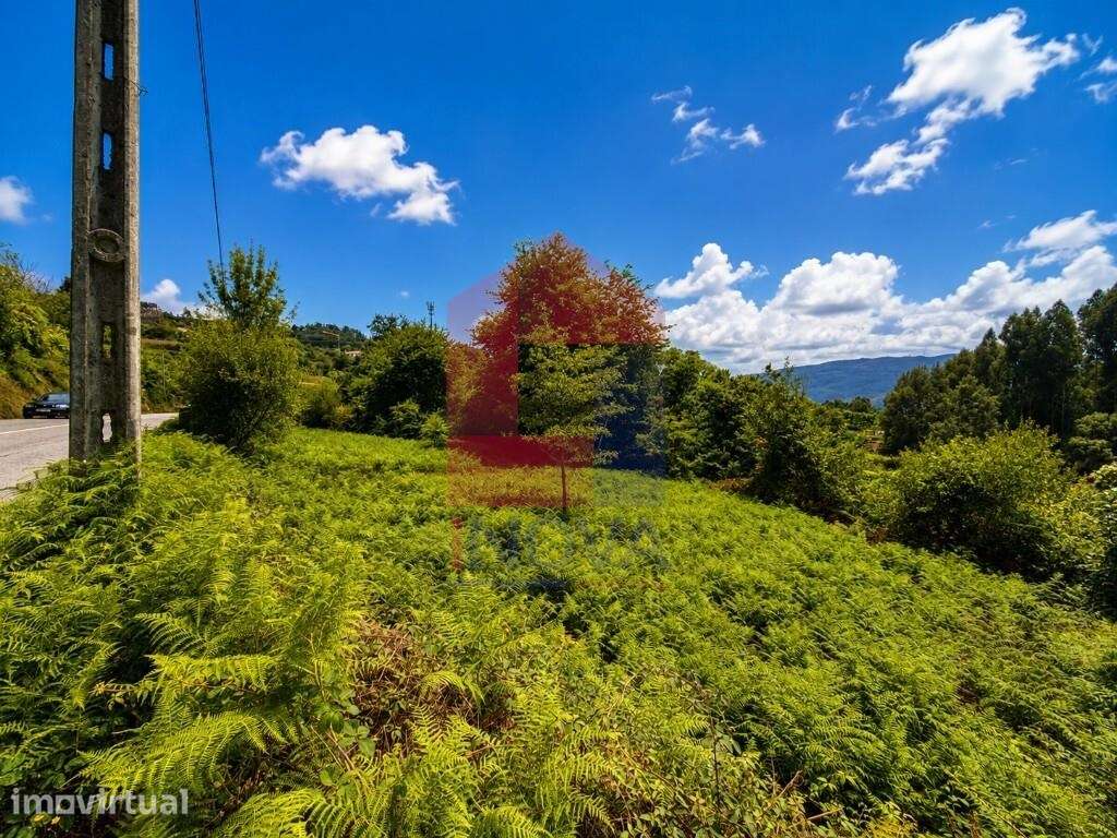 Terreno agrícola, Aboim da Nóbrega - Grande imagem: 5/11