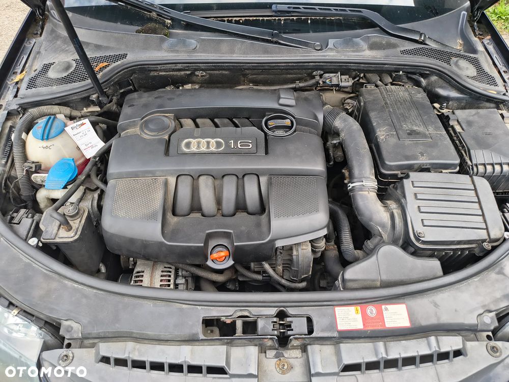 Audi A3 3-drzwiowe - 16
