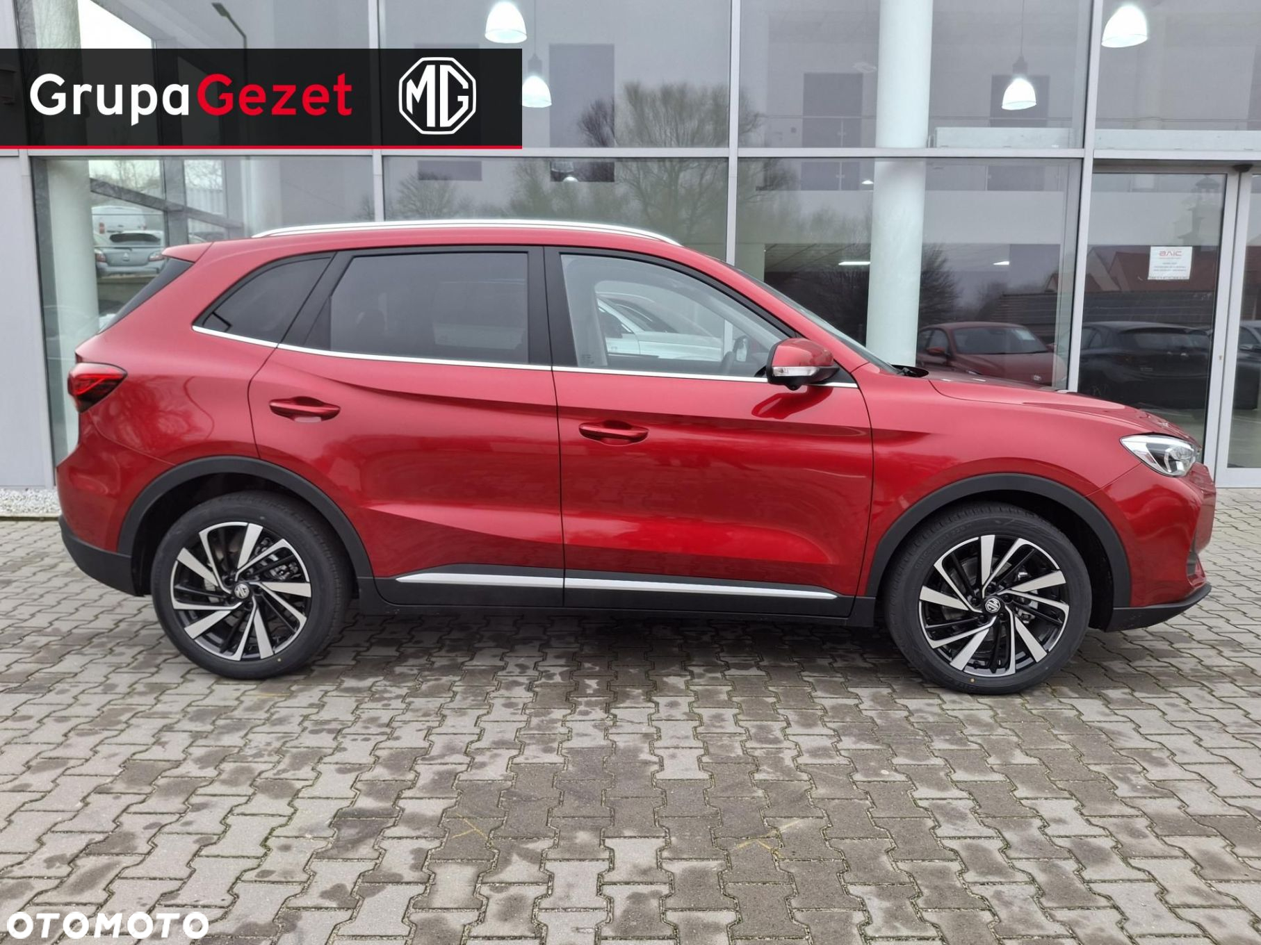 MG ZS - 7