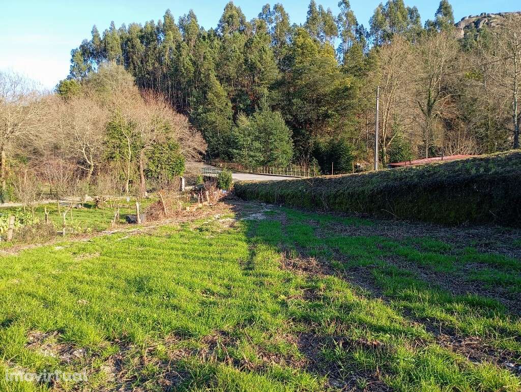 Terreno - Cantelães - Grande imagem: 4/17