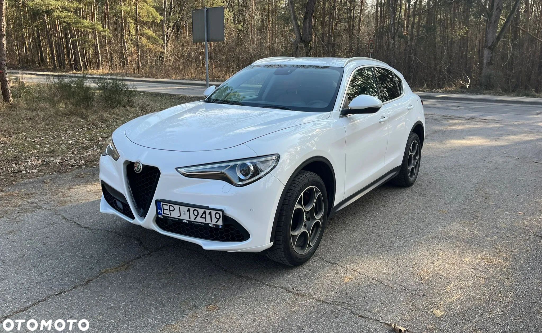 Alfa Romeo Stelvio 2.0 Turbo Executive Q4 - 1
