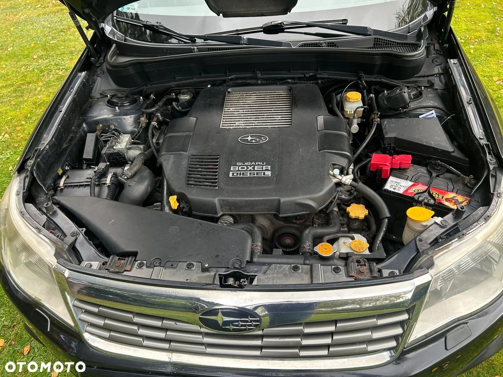 Subaru Forester - 7