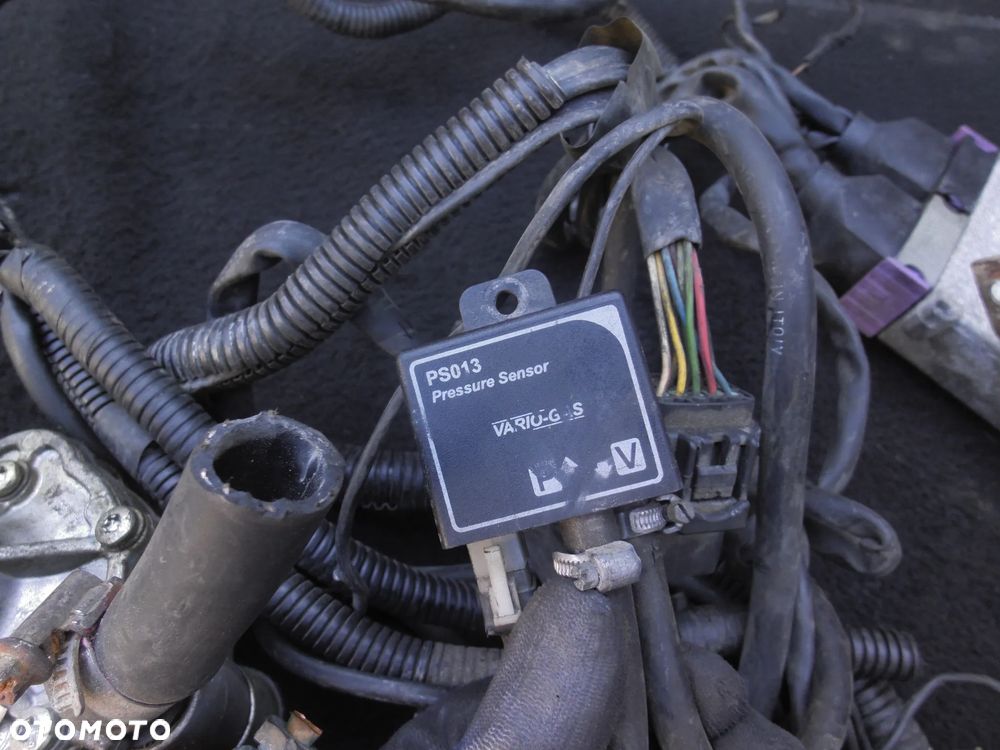 VW GOLF IV 1.6 AKL INSTALACJA GAZOWA LPG STELLA AE 2001NV KOMPLETNA STEROWNIK POMPA FILTR WTRYSKI PRZEWODY CZUJNIKI - 7