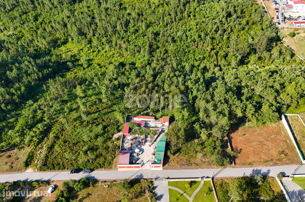Terreno com 4.800 m² em Vale de Cântaro, Coimbra - Grande imagem: 2/15
