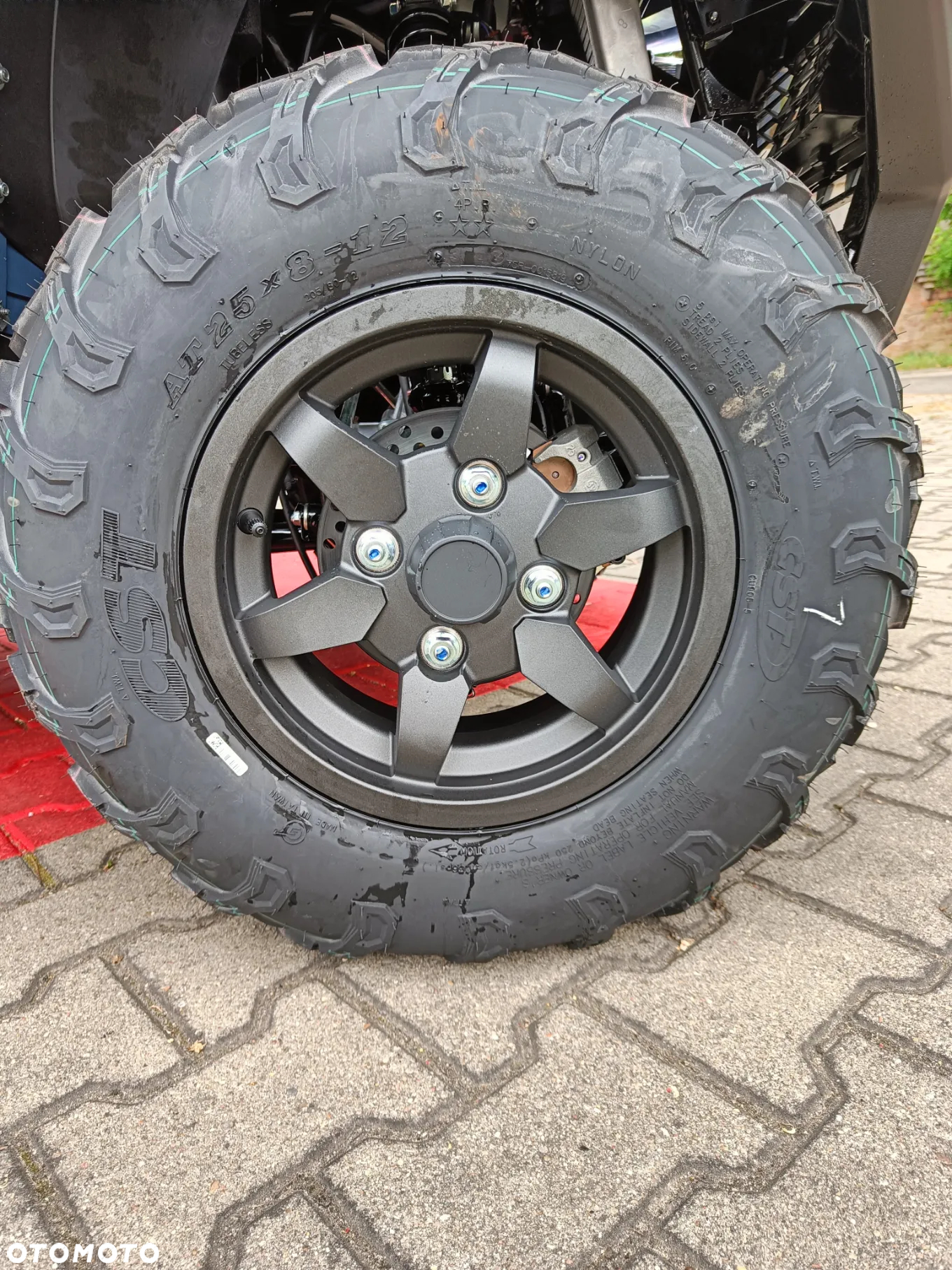 Kawasaki Brute Force - 14
