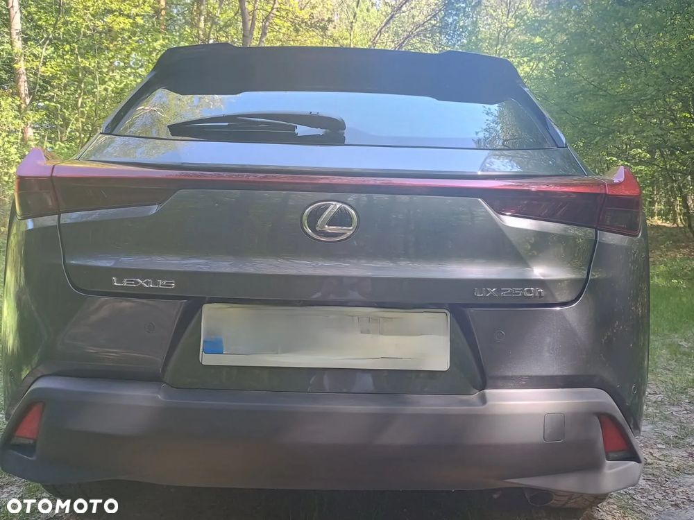 Lexus UX 250h Prestige 2WD - 7