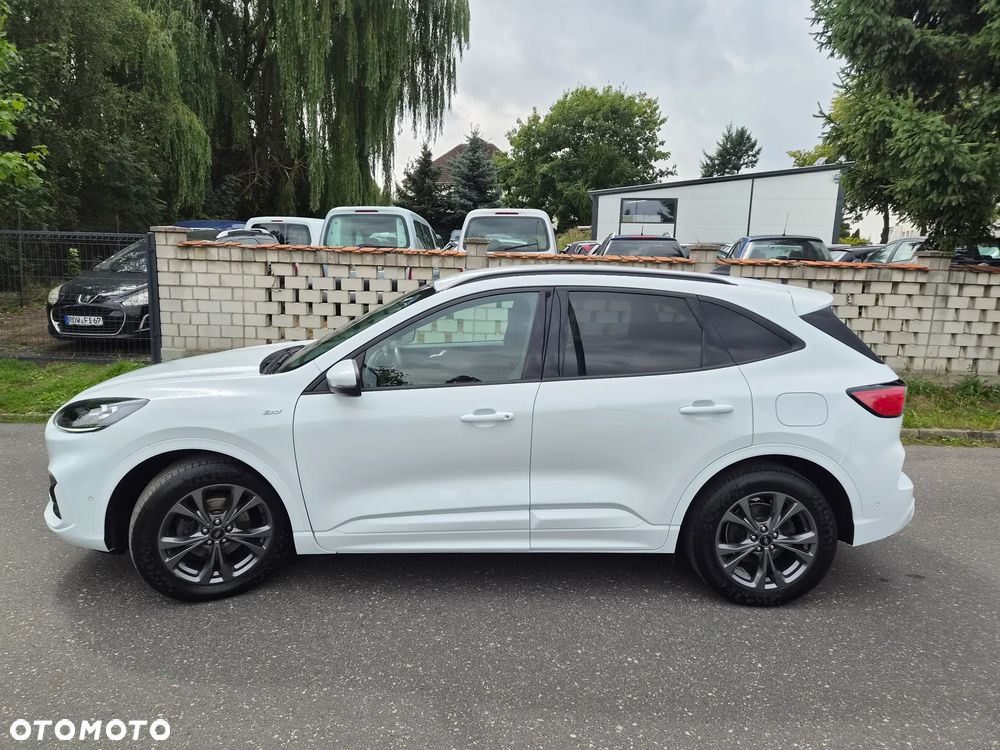 Ford Kuga 2.0 EcoBlue Hybrid ST-LINE - 13