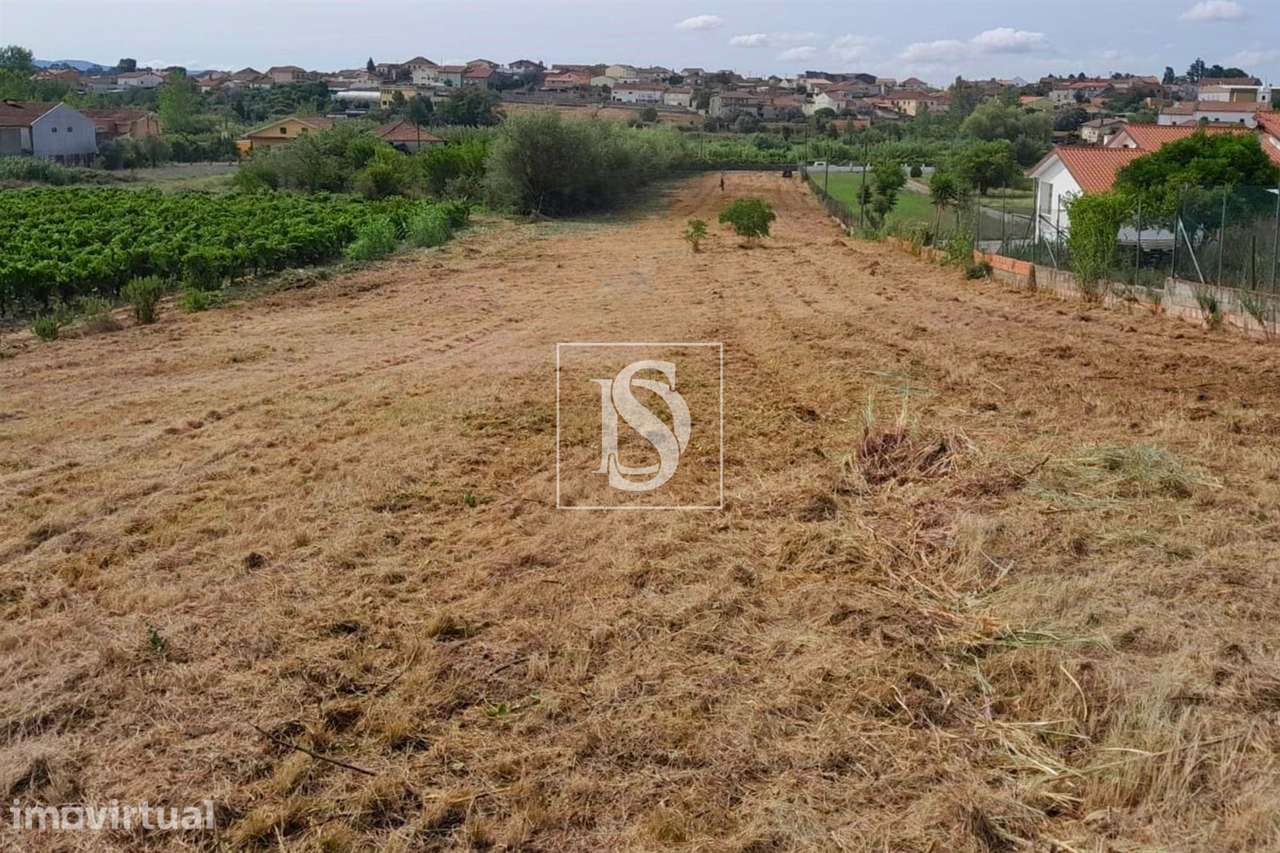 Terreno  Venda em Mealhada, Ventosa do Bairro e Antes,Mealhada - Grande imagem: 2/5