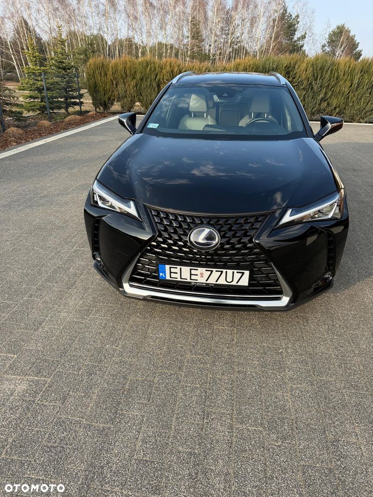 Lexus UX - 9