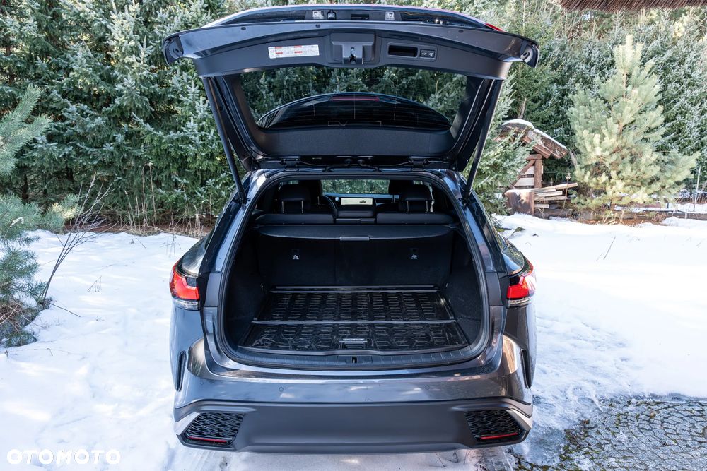 Lexus RX 350h F Sport Design - 20