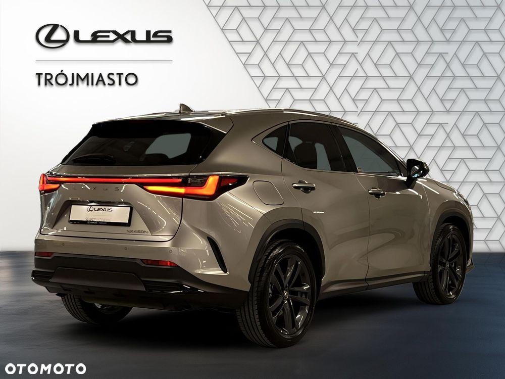 Lexus NX - 6