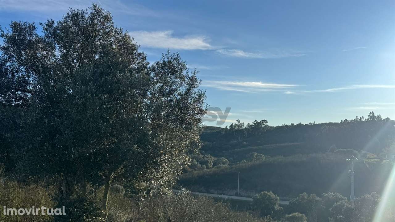 2 Moradias para recuperar em Terreno com 12000m2-Santana da Serra - Grande imagem: 4/22