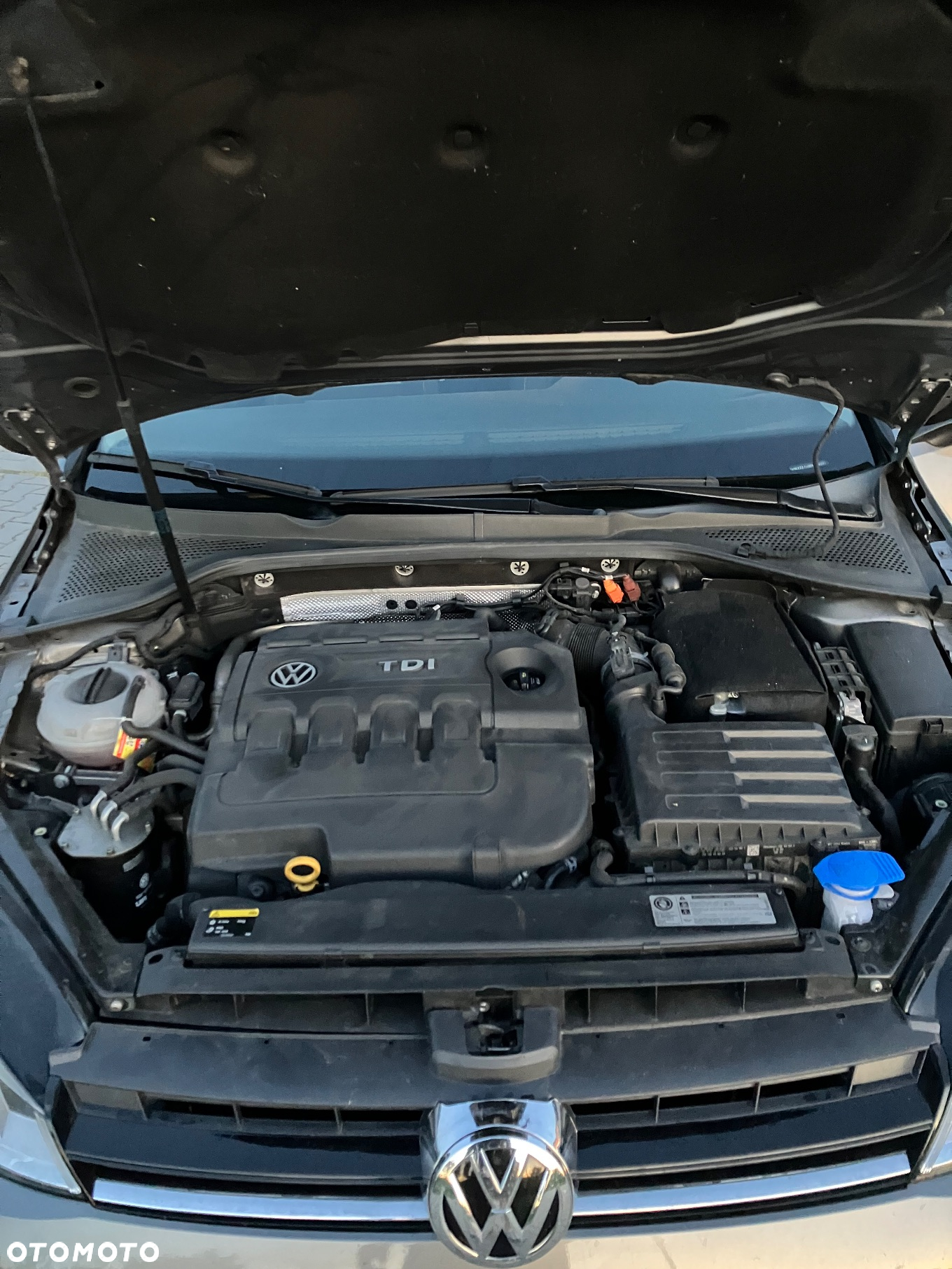 Volkswagen Golf - 8