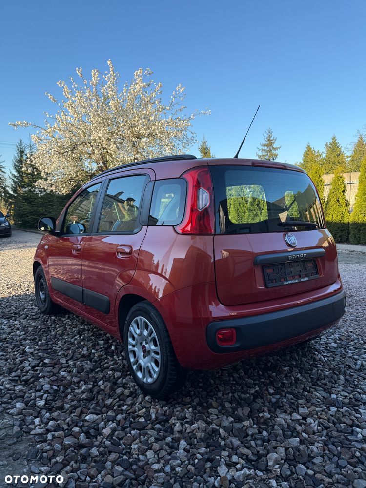 Fiat Panda - 5