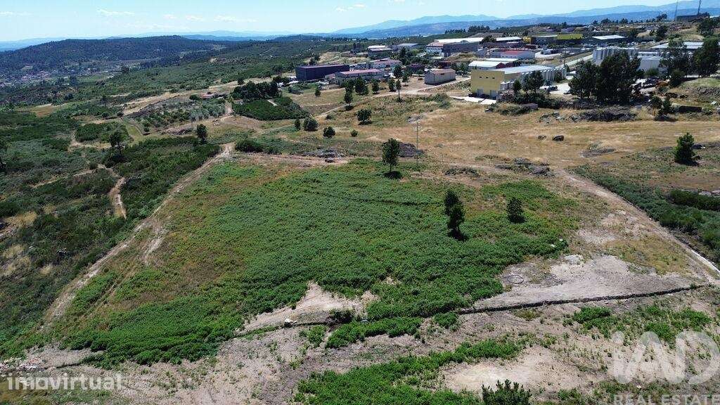 Terreno Agrícola em Vila Chã - Grande imagem: 4/17