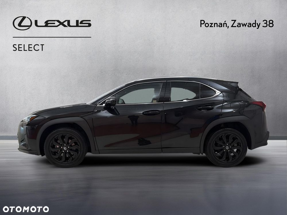 Lexus UX 300h Prestige - 5
