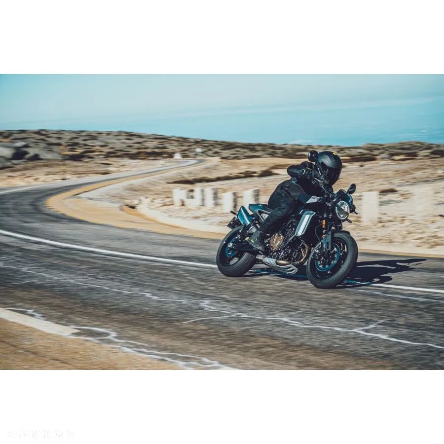 Husqvarna Svartpilen - 8