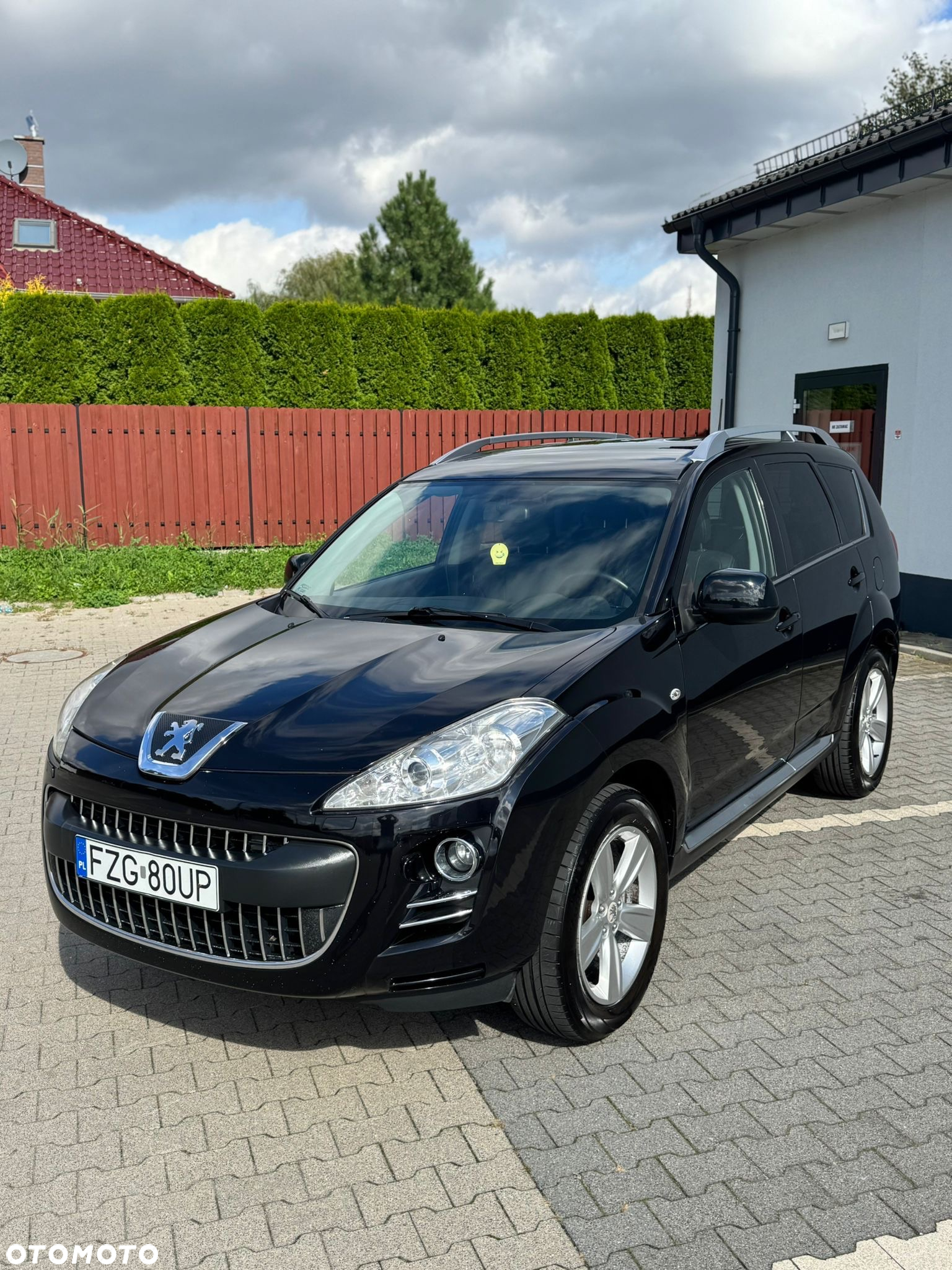 Peugeot 4007 2.2HDi Platinum - 18