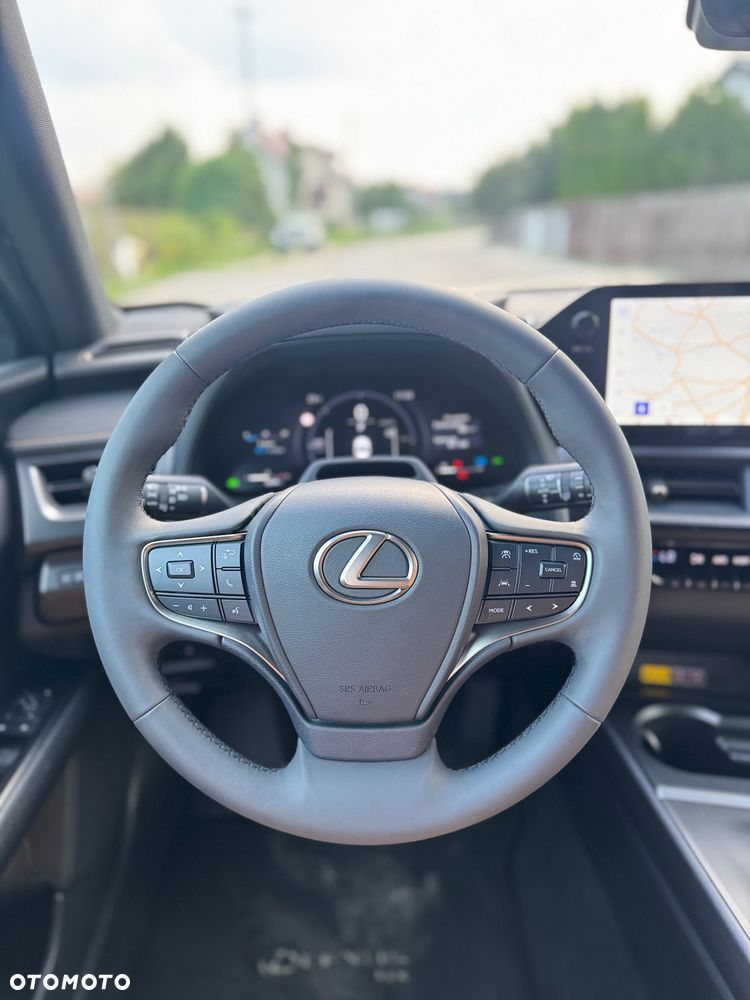Lexus UX 300h F Sport AWD - 21