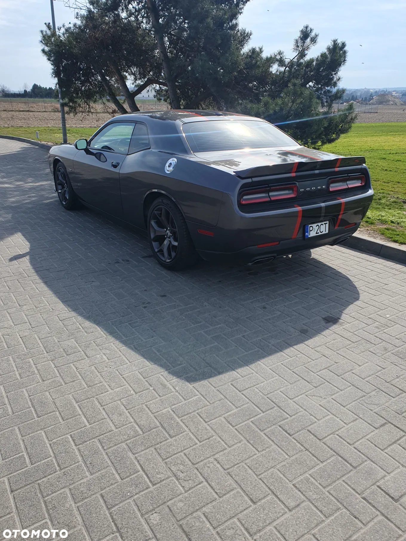Dodge Challenger Automatik R/T Plus - 7