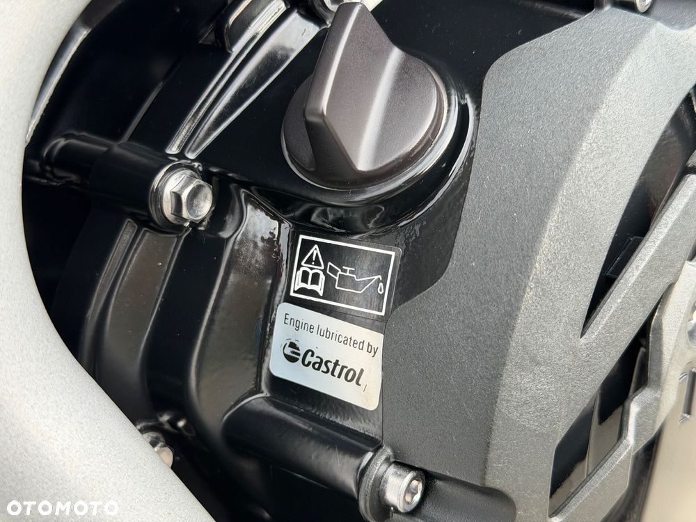 Triumph Tiger - 40