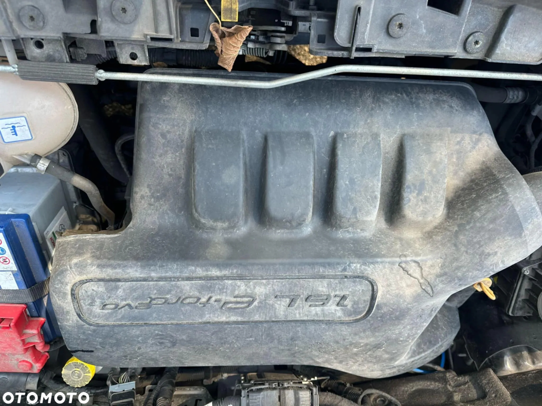 Fiat 500X - 20