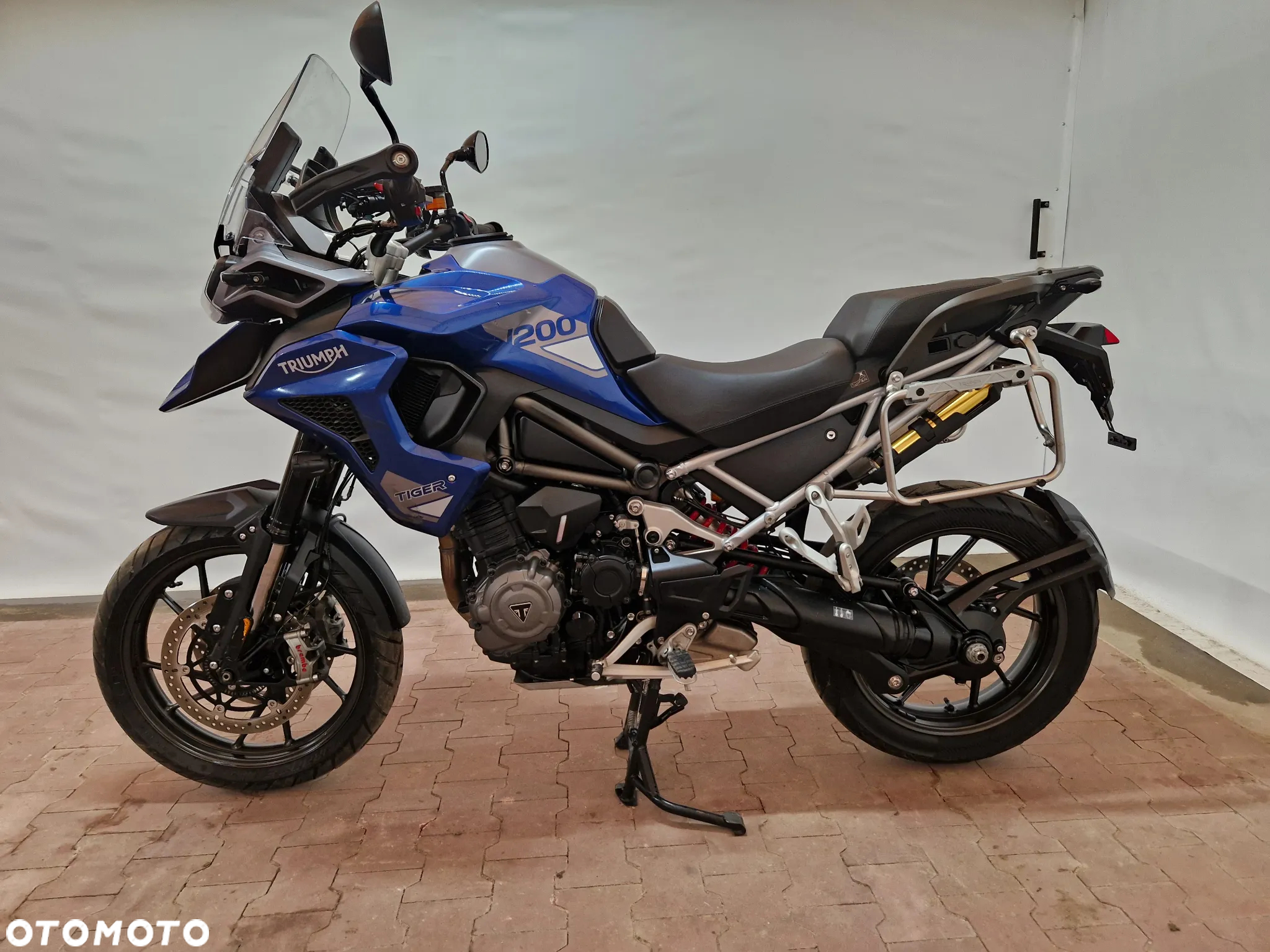 Triumph Tiger - 3