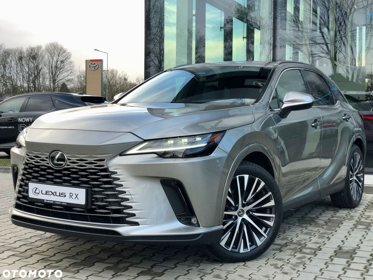 Lexus RX - 10