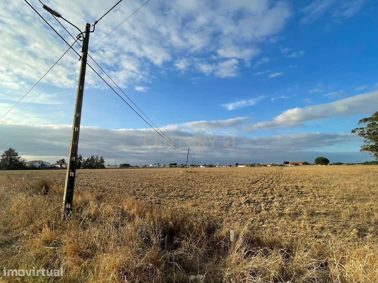 Terreno Rústico com Projeto Aprovado | 5.000 m² | Foros de Salvaterra - Grande imagem: 2/9