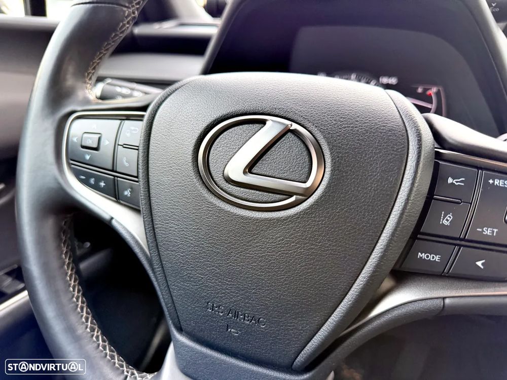 Lexus UX 250h Special Edition (LCA) - 14