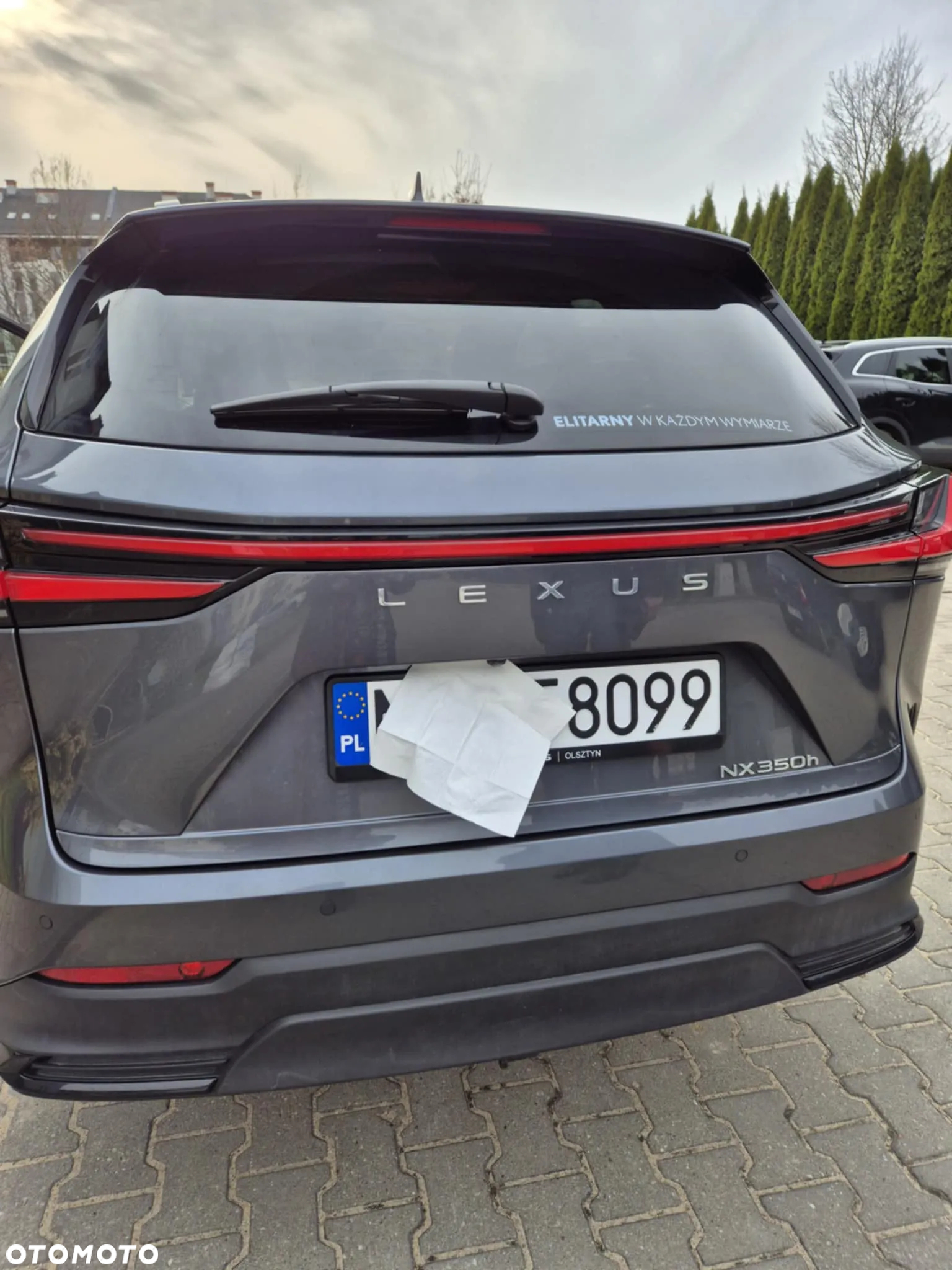 Lexus NX - 13