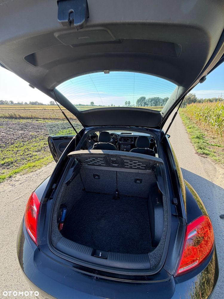 Volkswagen Beetle - 21