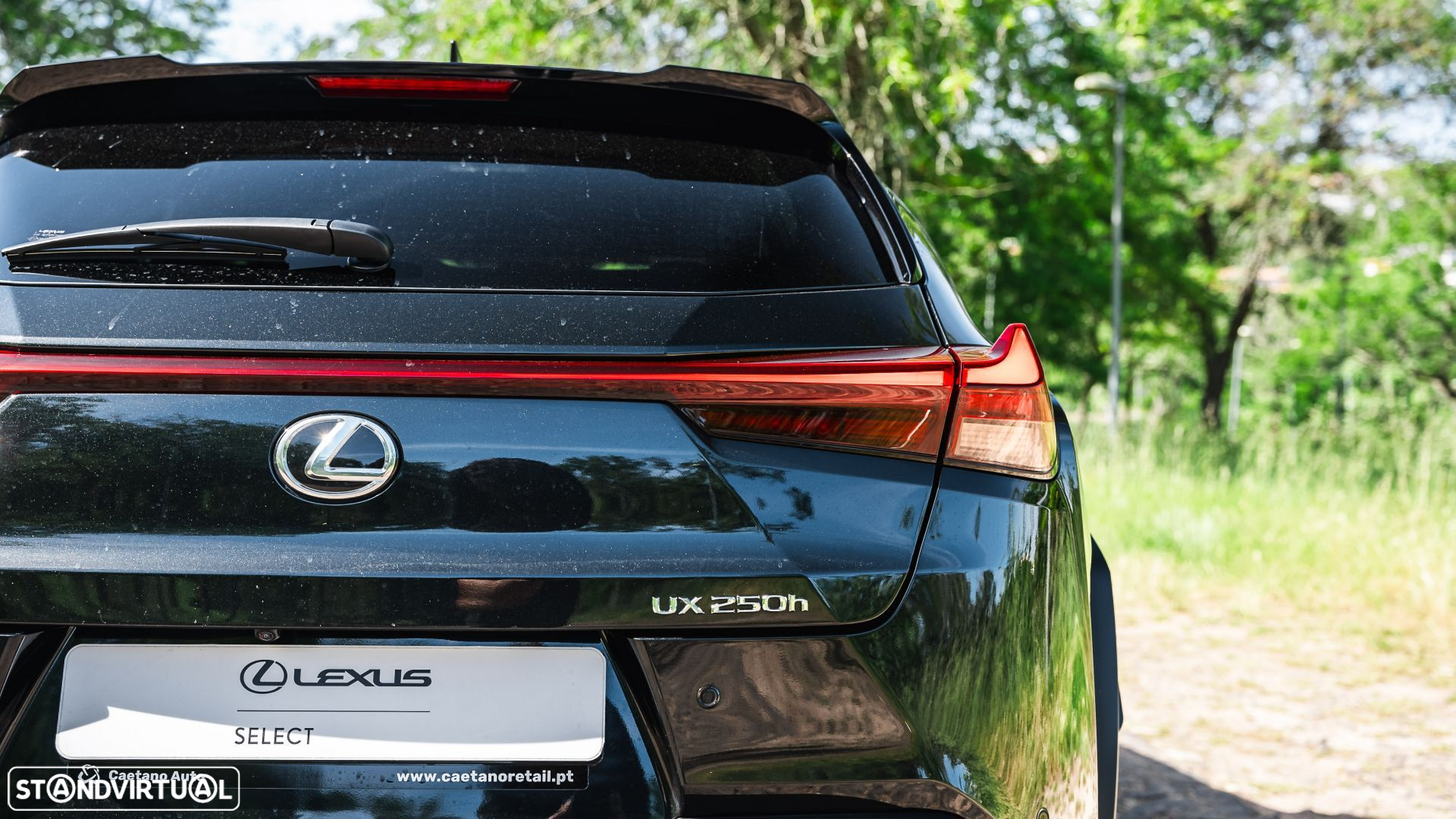 Lexus UX 250h Sport (Ecrã 12.3) - 16