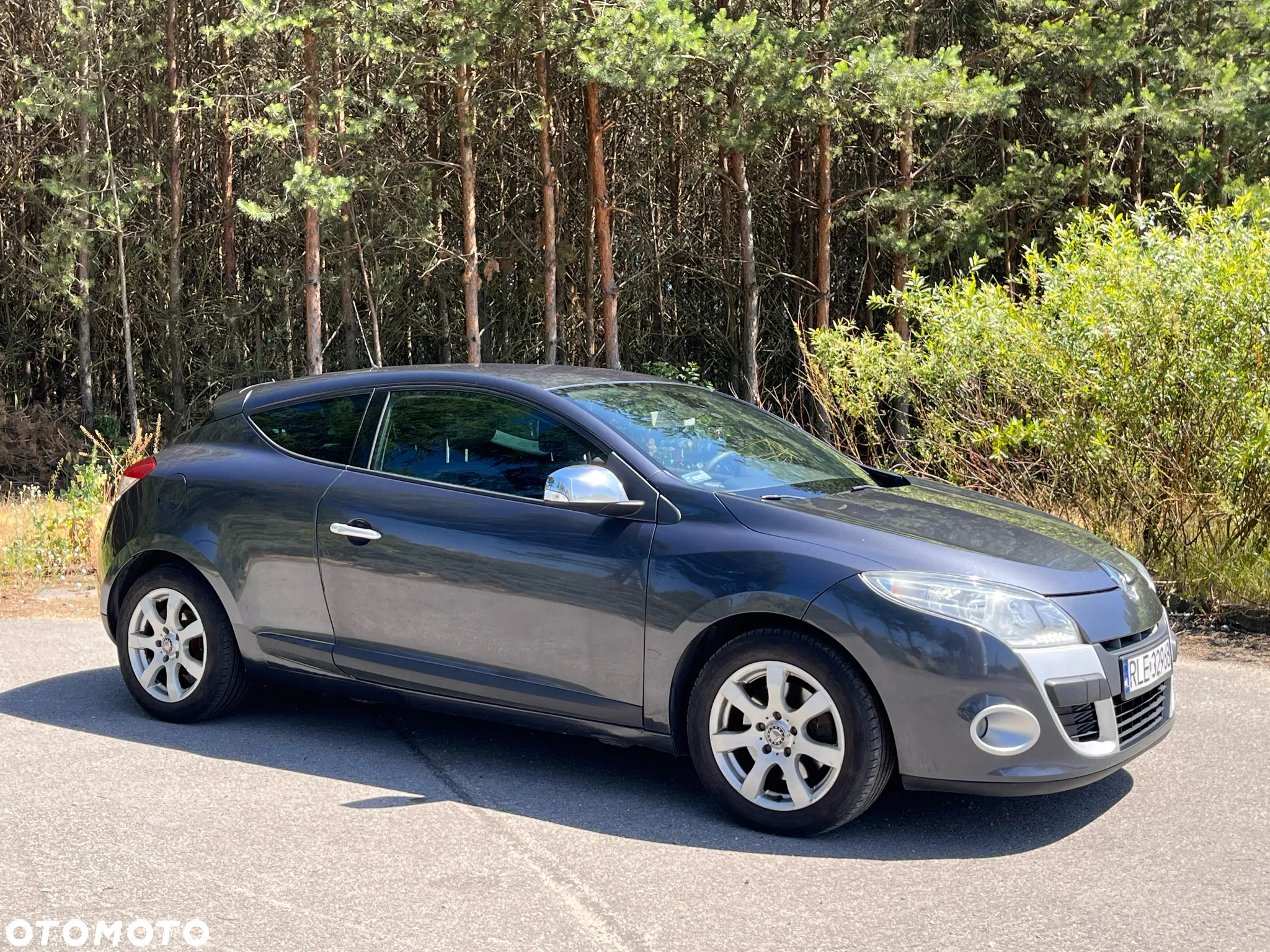 Renault Megane 2.0 16V TCE Dynamique - 2