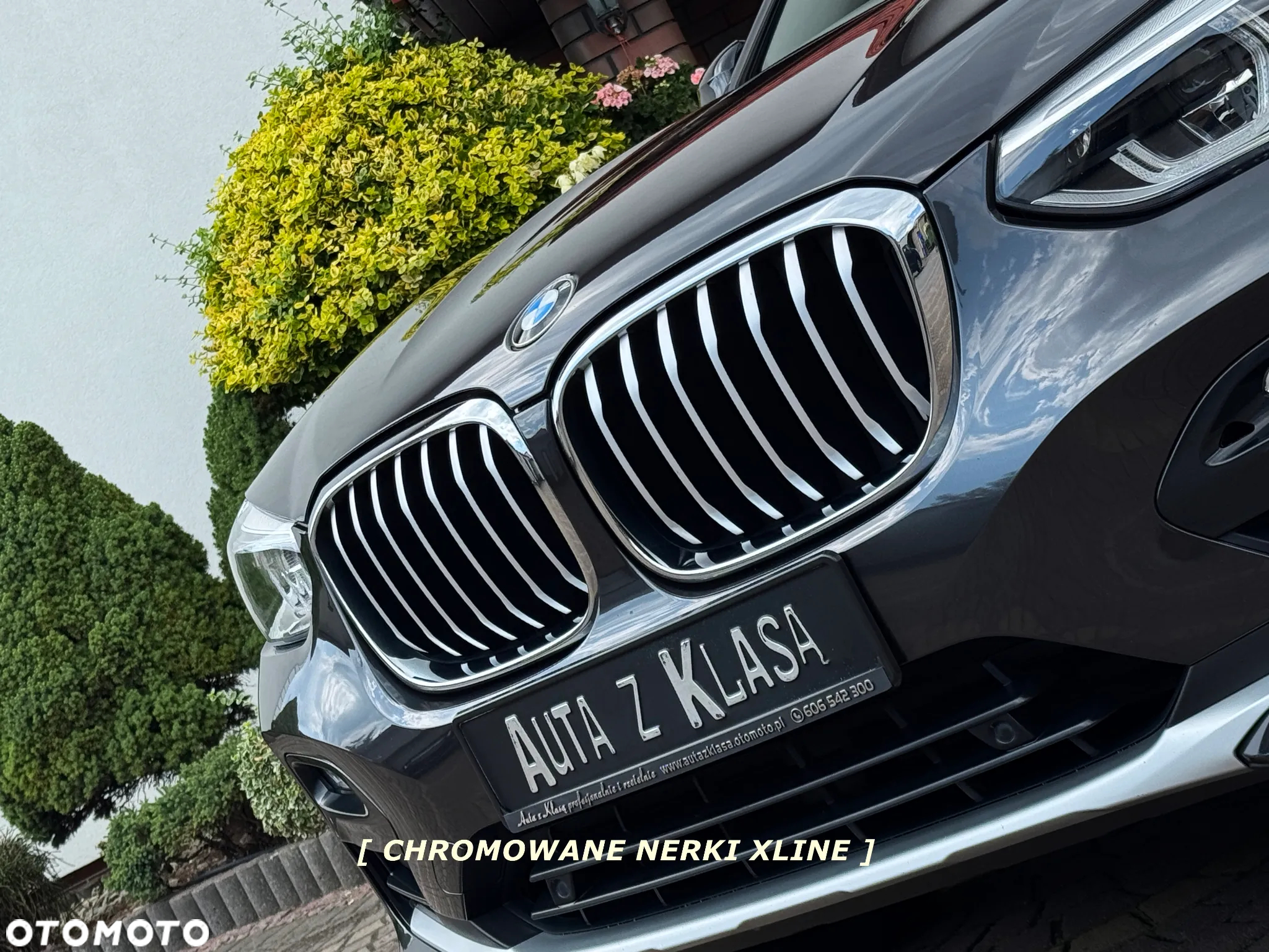 BMW X4 xDrive20d M Sport X - 7