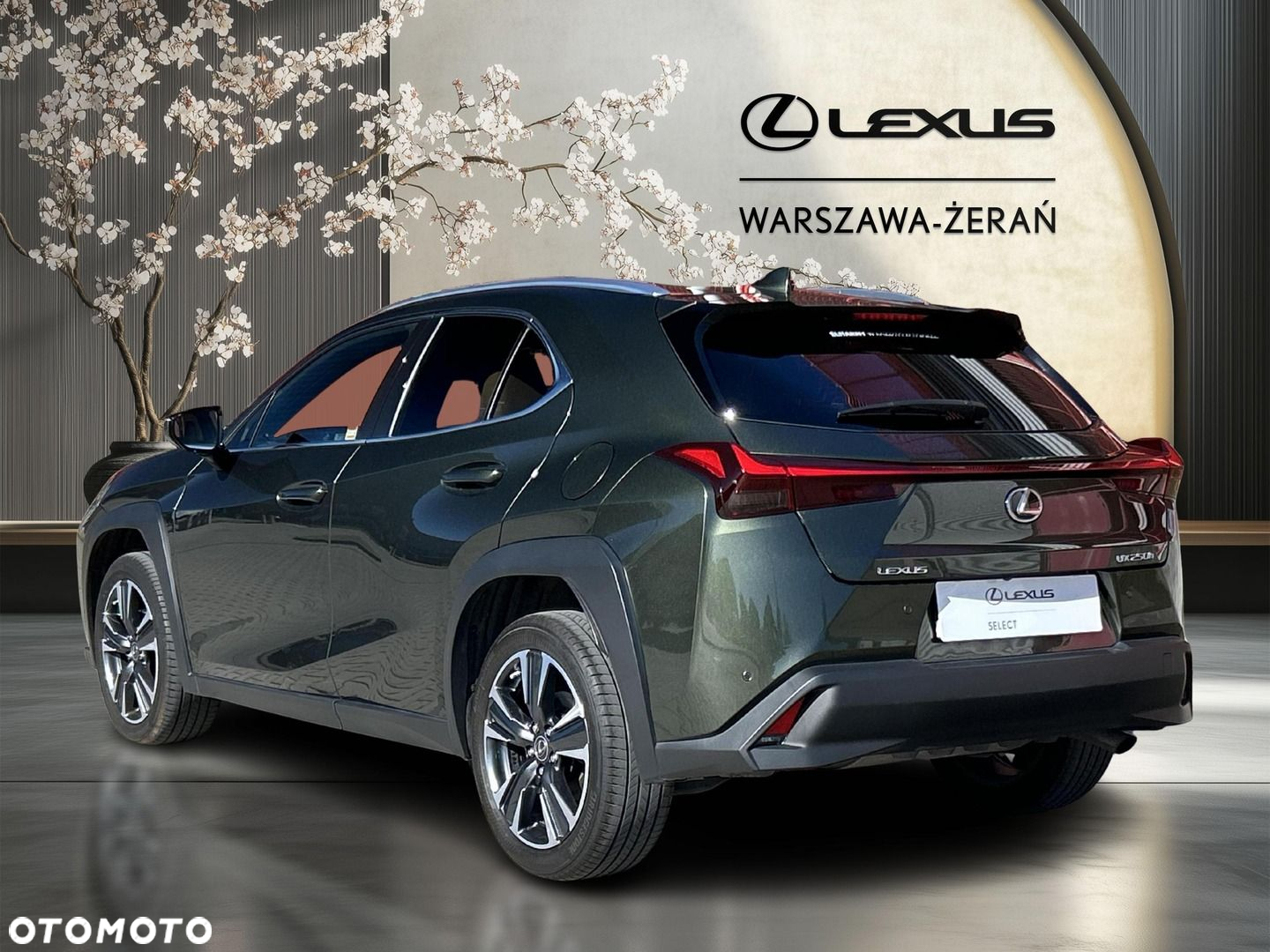 Lexus UX 250h GPF Business 2WD - 5