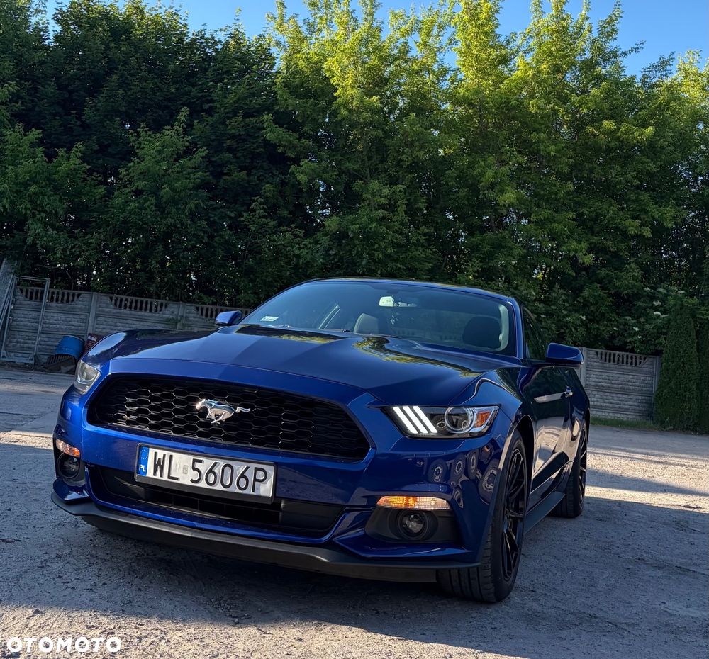 Ford Mustang 3.7 V6 - 13
