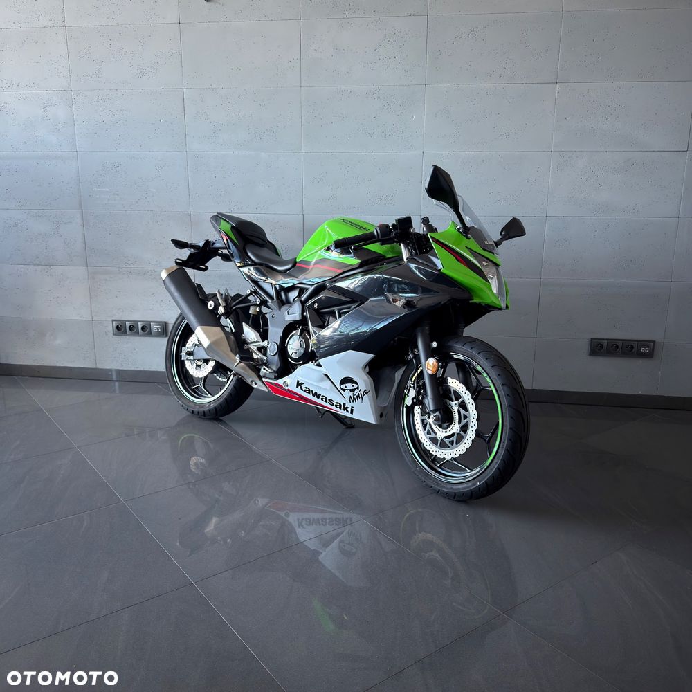 Kawasaki Ninja - 1
