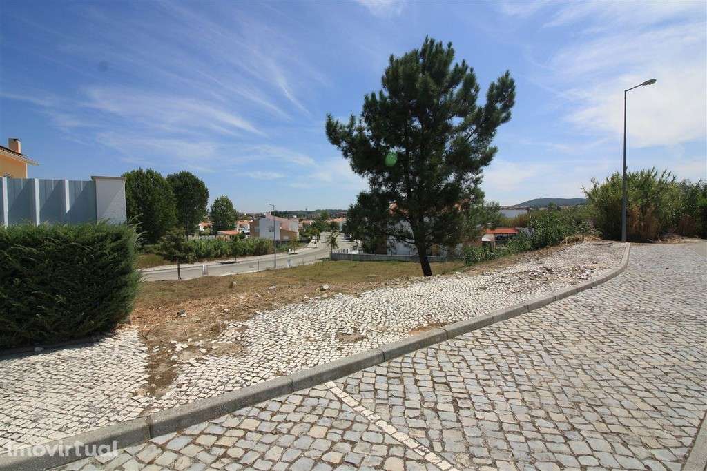 Lote, Condeixa-a-Nova, Condeixa - Grande imagem: 2/9