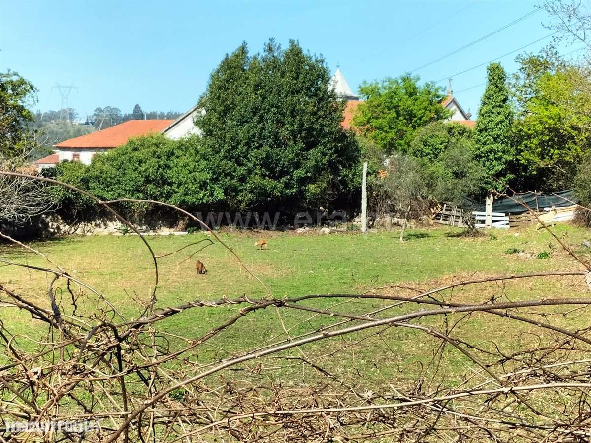 Quinta em Vilela, Paredes - Grande imagem: 4/17