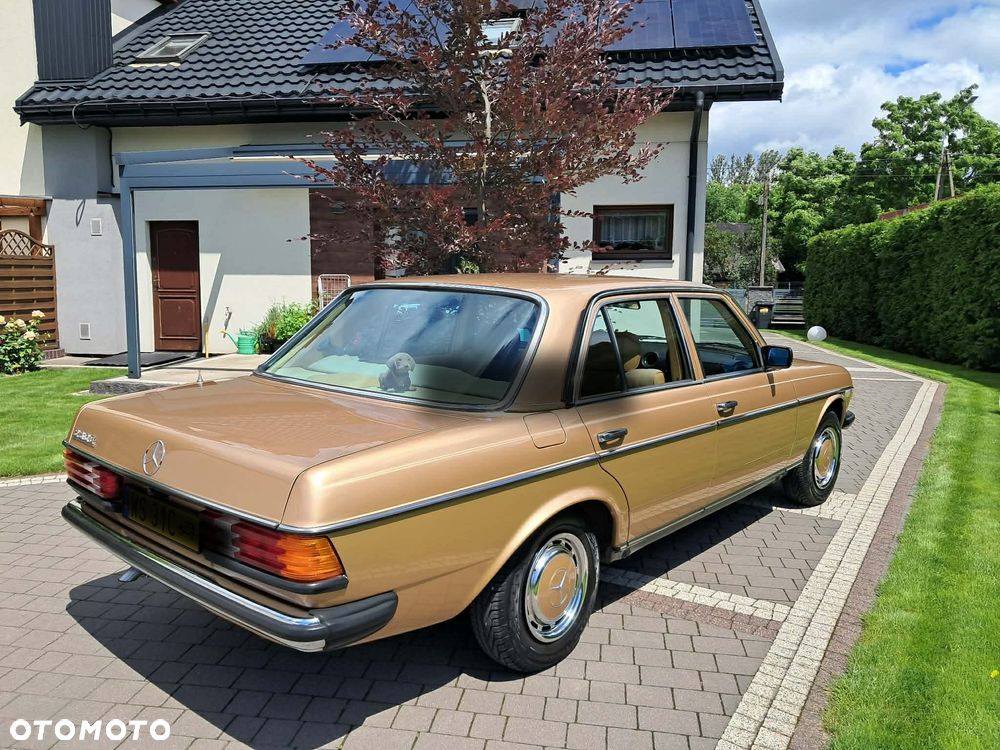 Mercedes-Benz W123 - 20