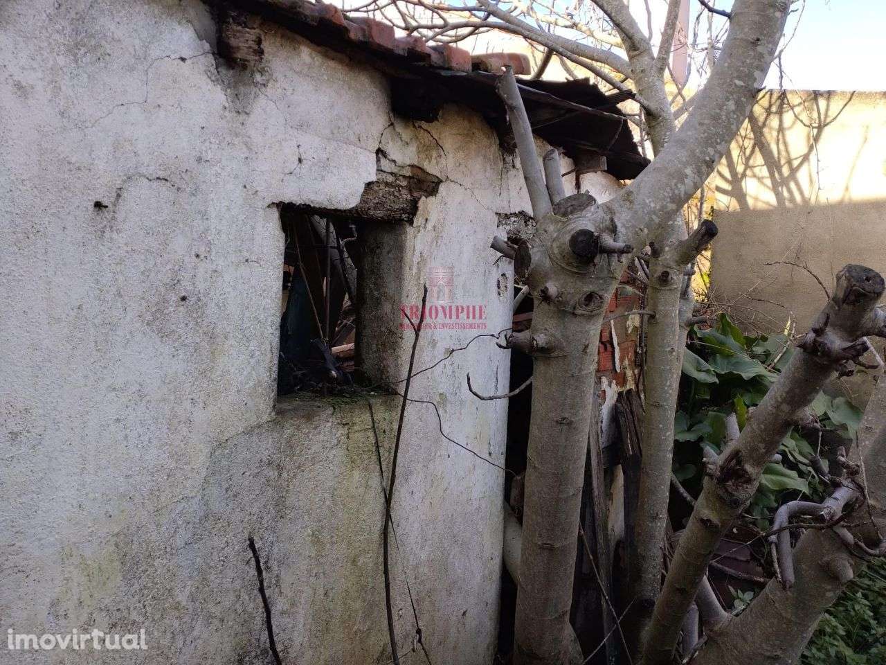 Moradia T2 Recuperar 113m2 São Miguel do Rio Torto, Abrantes - Grande imagem: 2/8