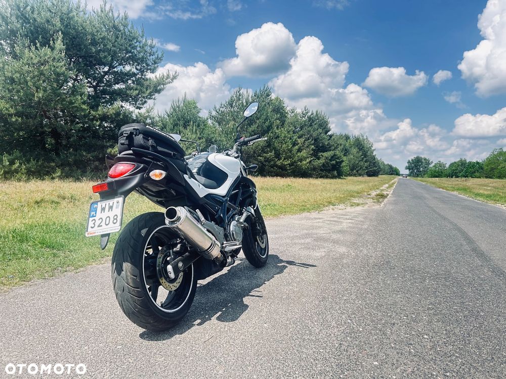Suzuki Gladius - 4