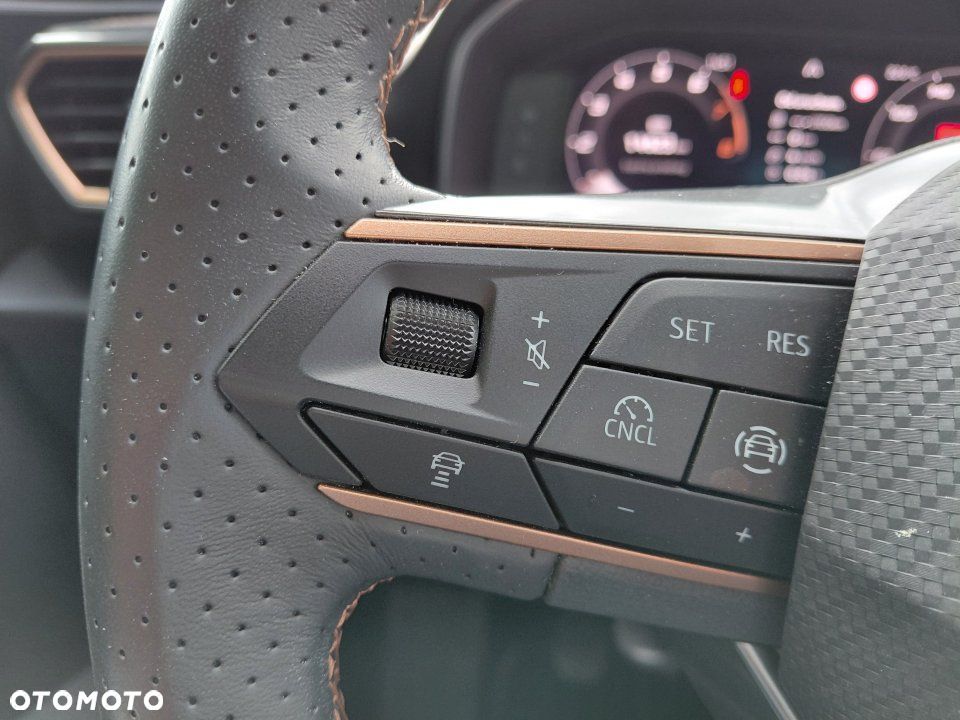 Cupra Formentor - 19